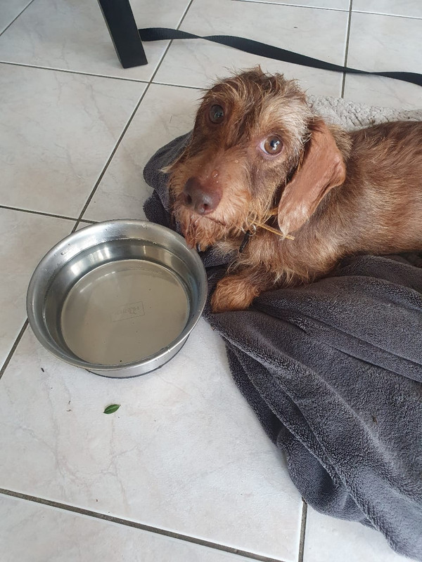 [Image: IMG-20220825-WA0002.jpg]