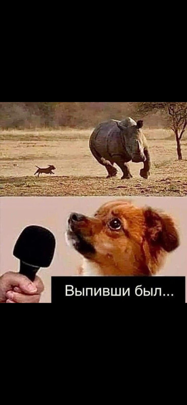 Screenshot_2024-01-20-02-17-45-030_com.miui.gallery