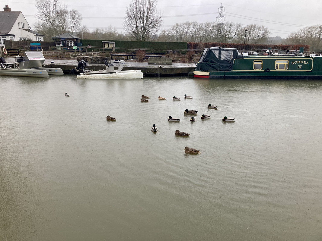 9081626E-A655-47A5-85AB-792AAAC00D77