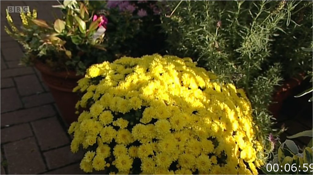 [Image: bmed1c06rl9i.png]