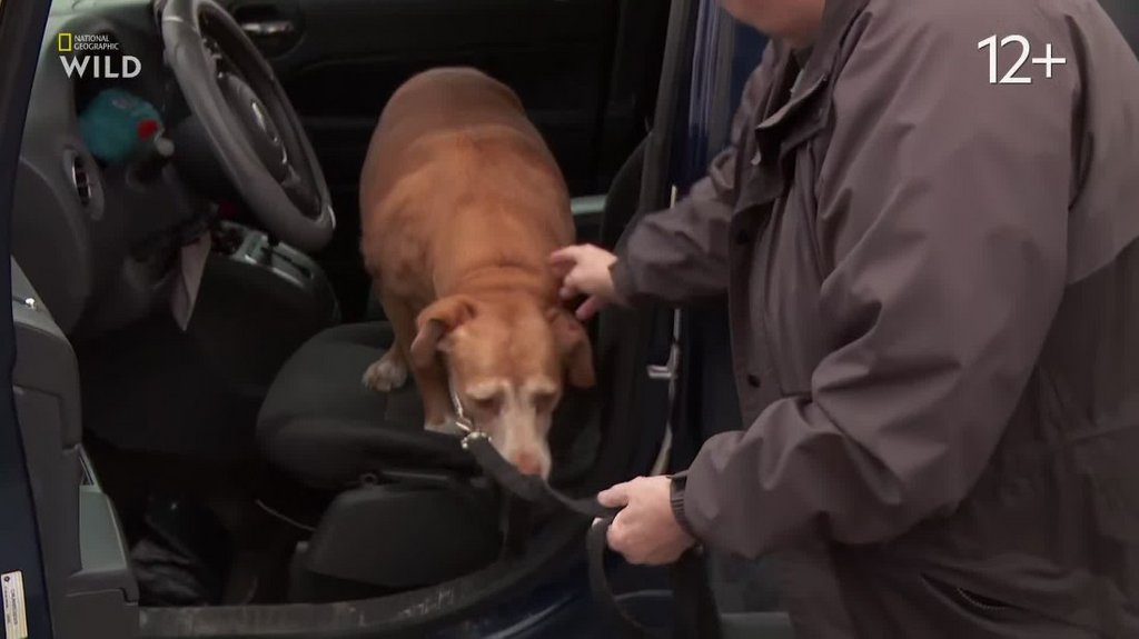 [Image: qs6t0zsjqj52.jpg]