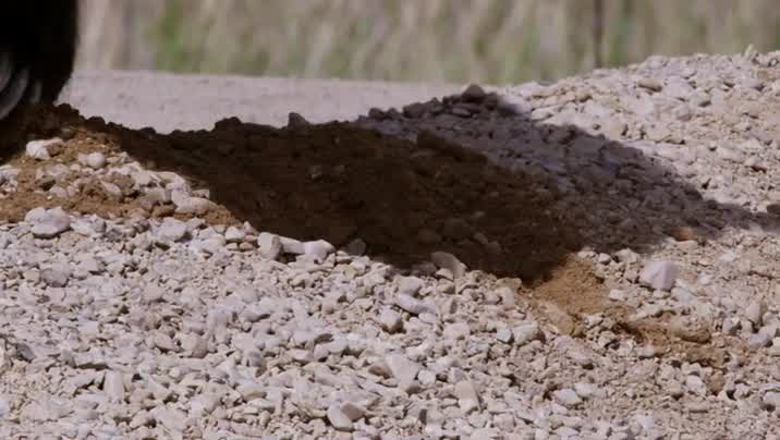 [Image: 54juxdsywx29.jpg]