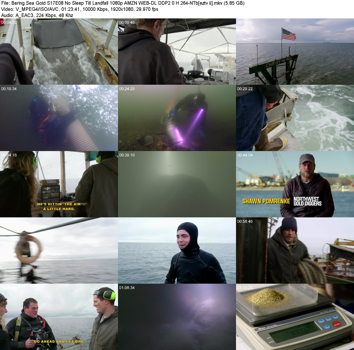 [Image: gvmz7s4o0wb1.jpg]