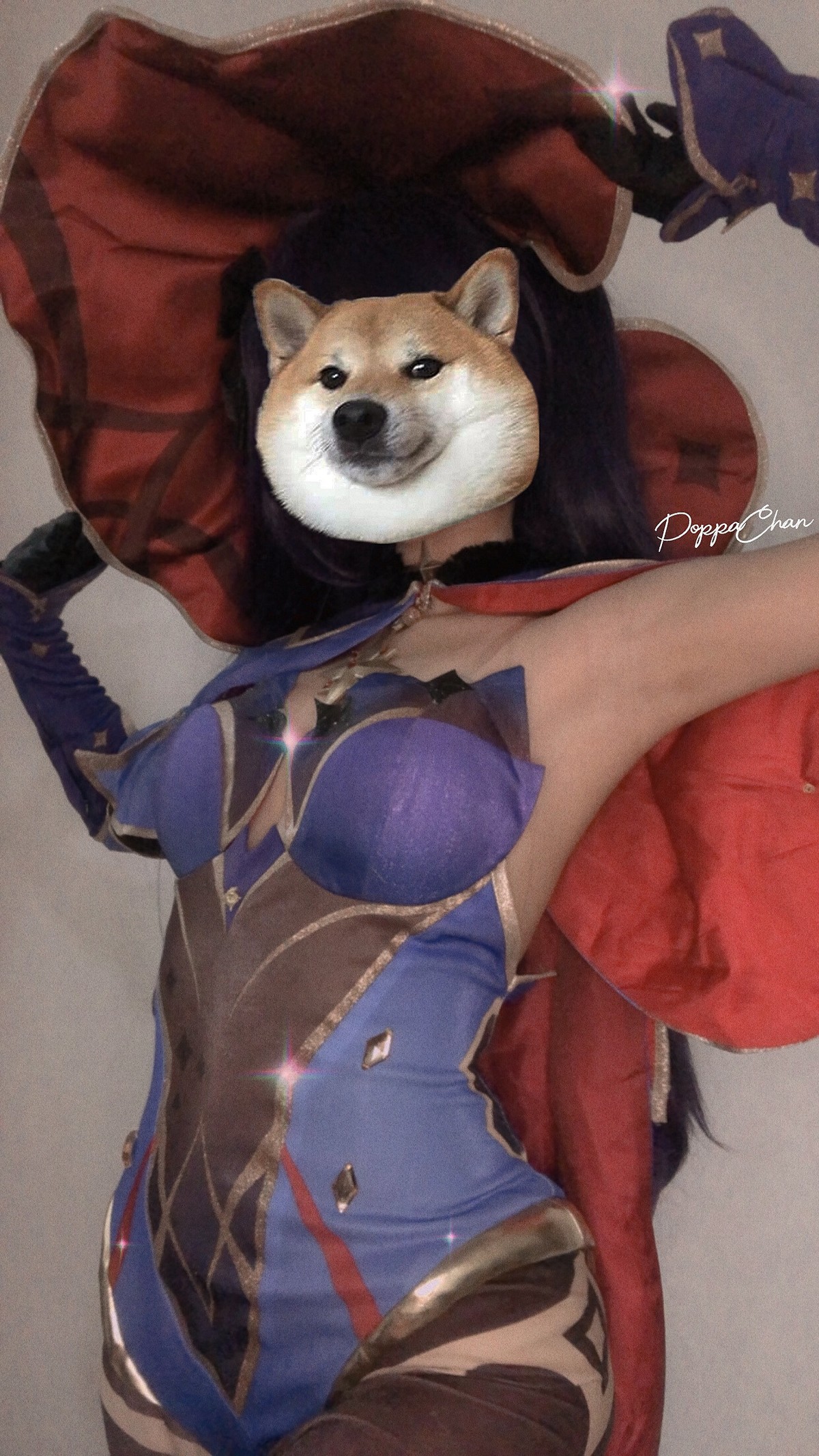 PoppaChan Celestine Cosplay (Kuroinu) HD – 20 Photos 68MB插图3