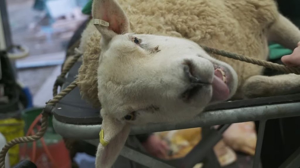 [Image: l93wp5d7nkkr.jpg]