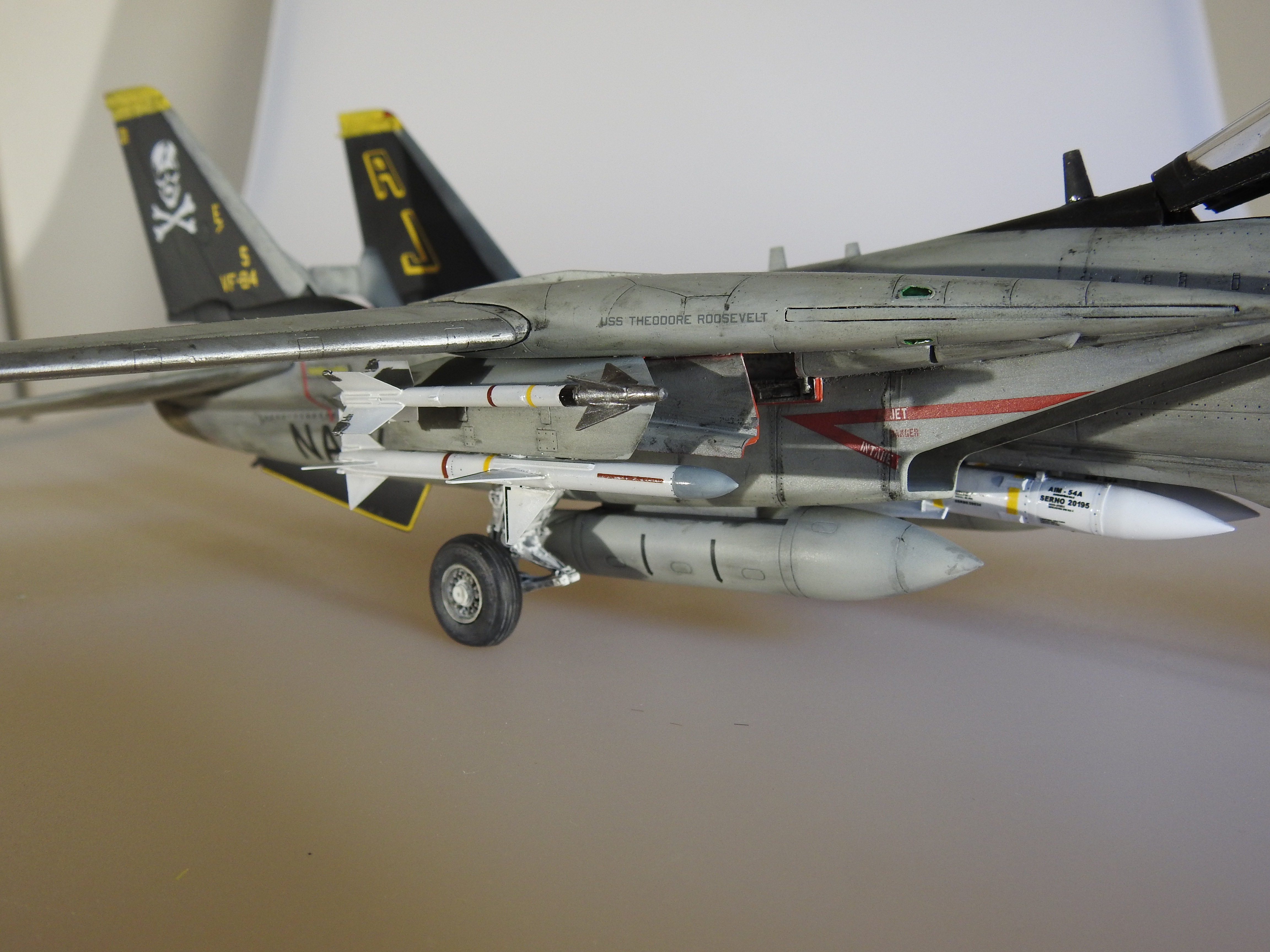 F-14A Danger Zone, Eduard, 1/48 - Klar DSCN7305