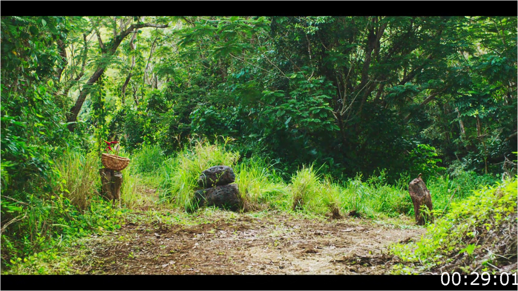 [Image: m9m1tai23fsf.png]