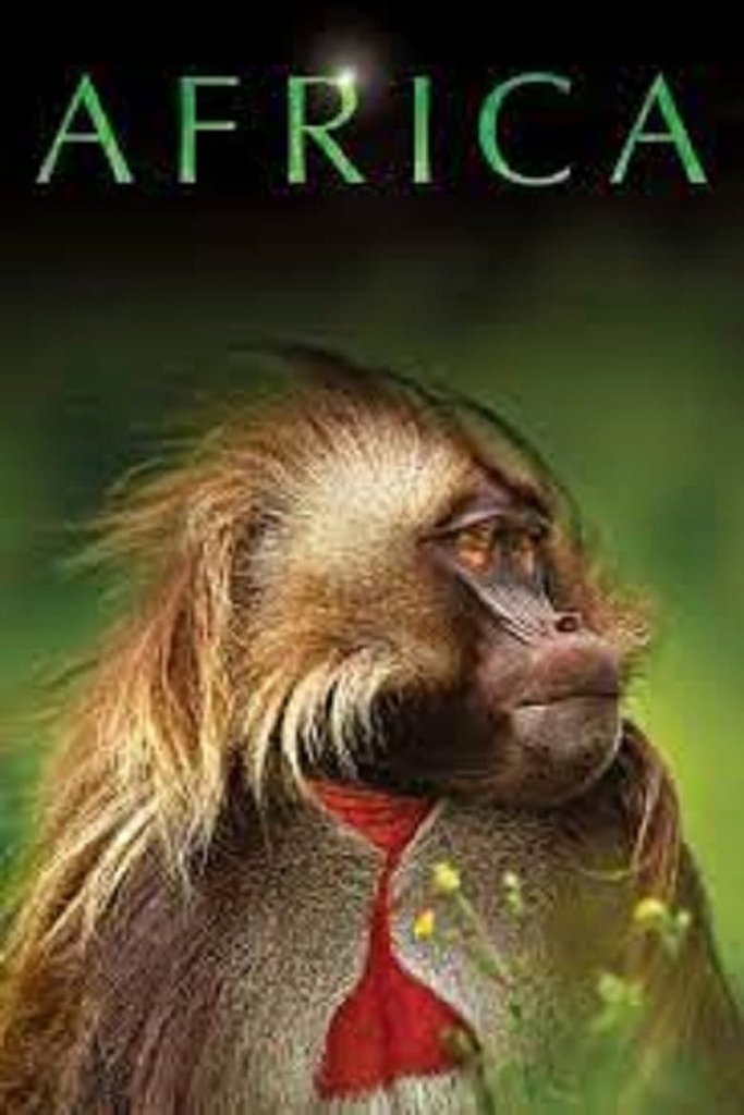 [Image: dtzv1227nalw.jpg]