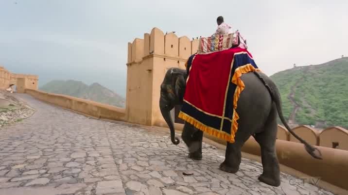 [Image: tf4khxajk414.jpg]