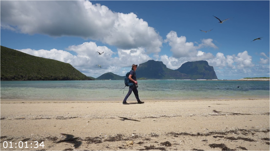 [Image: 2n17vgtzdb8t.png]