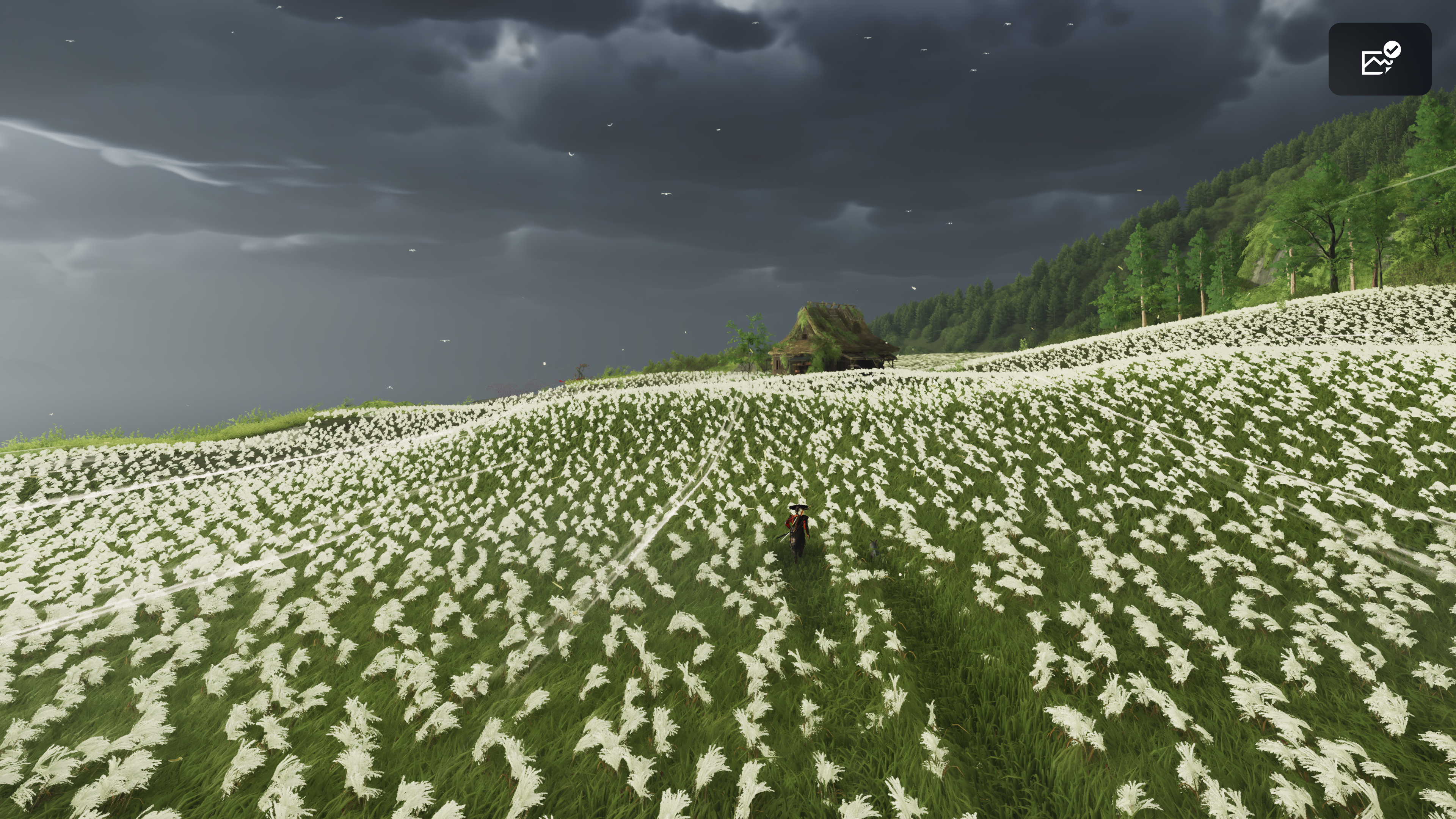 Ghost-of-Y-tei-20251008150929.png