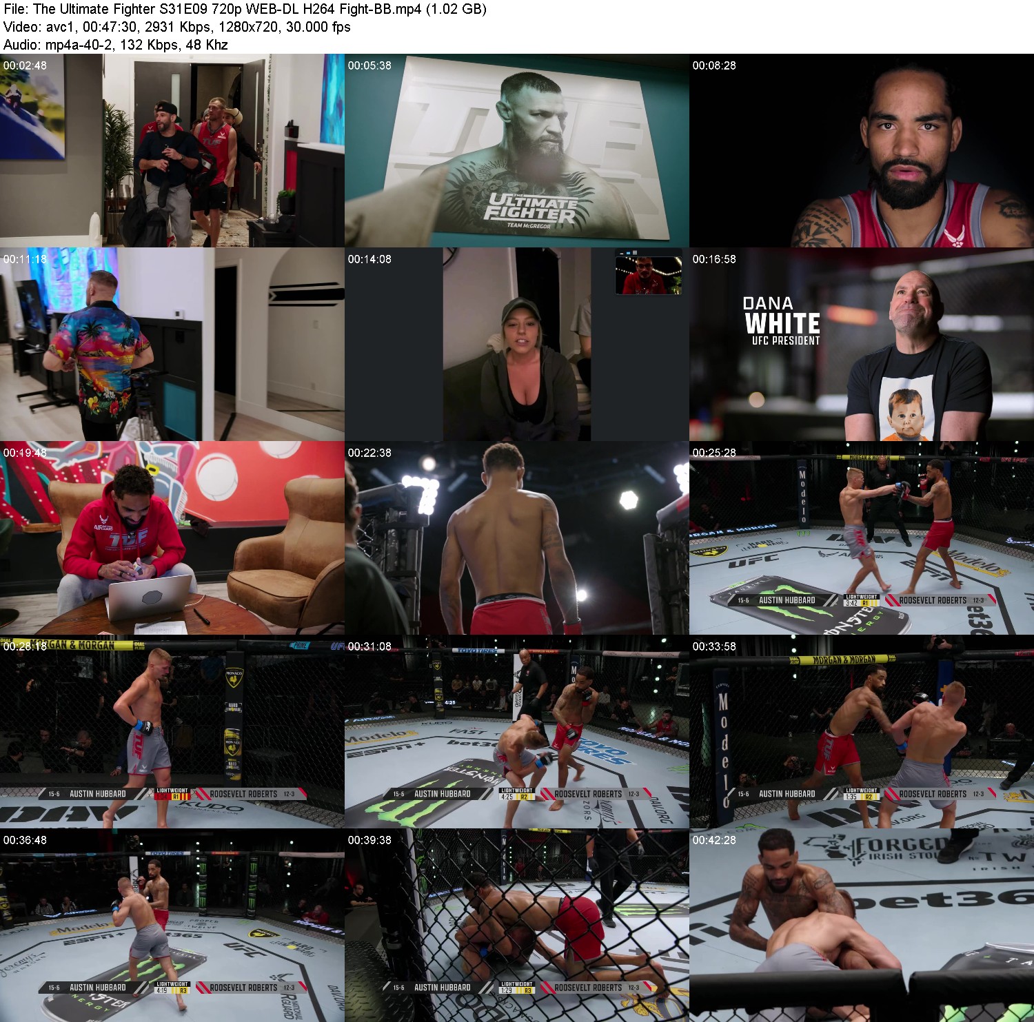 [Image: y27y87xfvvde.jpg]