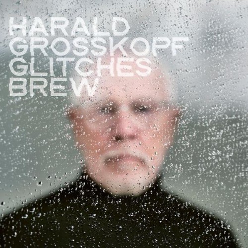 Harald Grosskopf - Glitches Brew (2026)