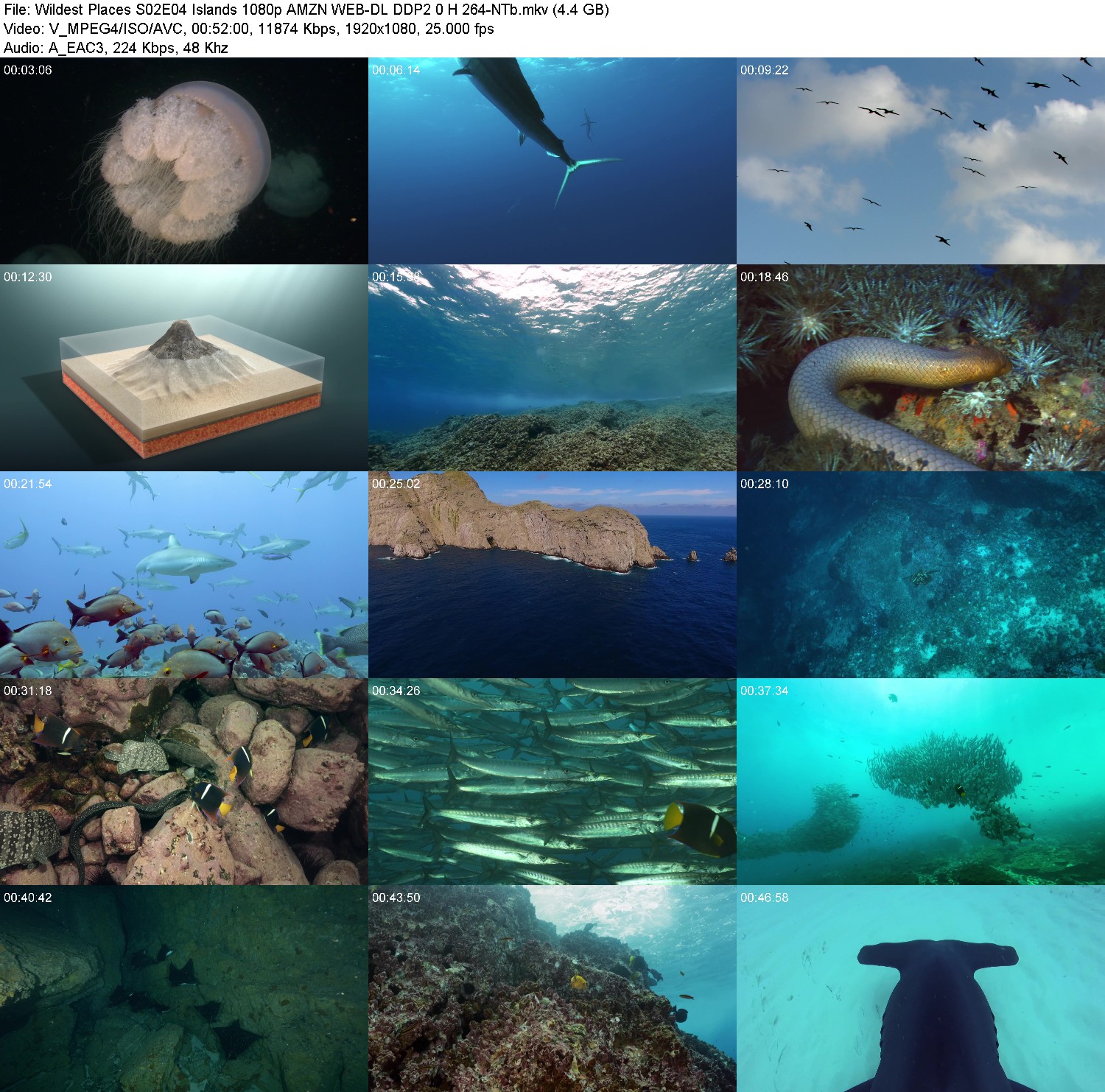 [Image: ixh4p6e62ojt.jpg]