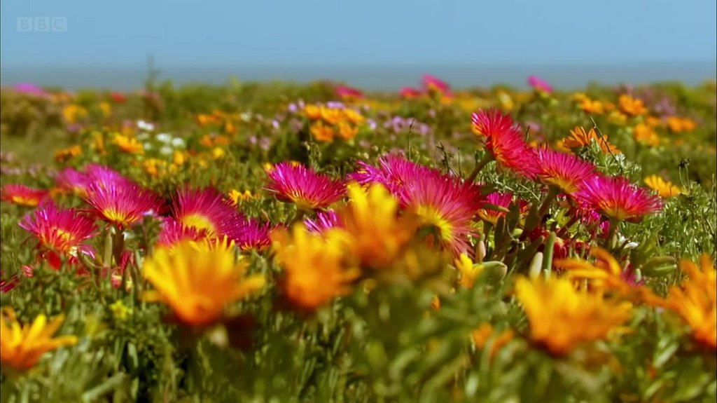 [Image: uy8bok7jr3u0.jpg]