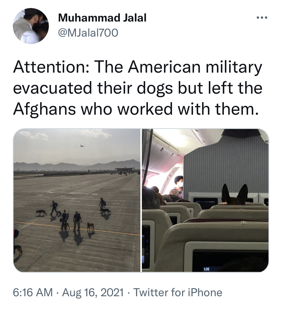 1629129954656.jpg
