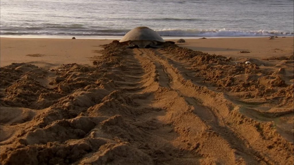 [Image: 4sriduf7vf77.jpg]