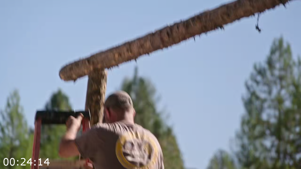 [Image: uzjkizy76v86.png]