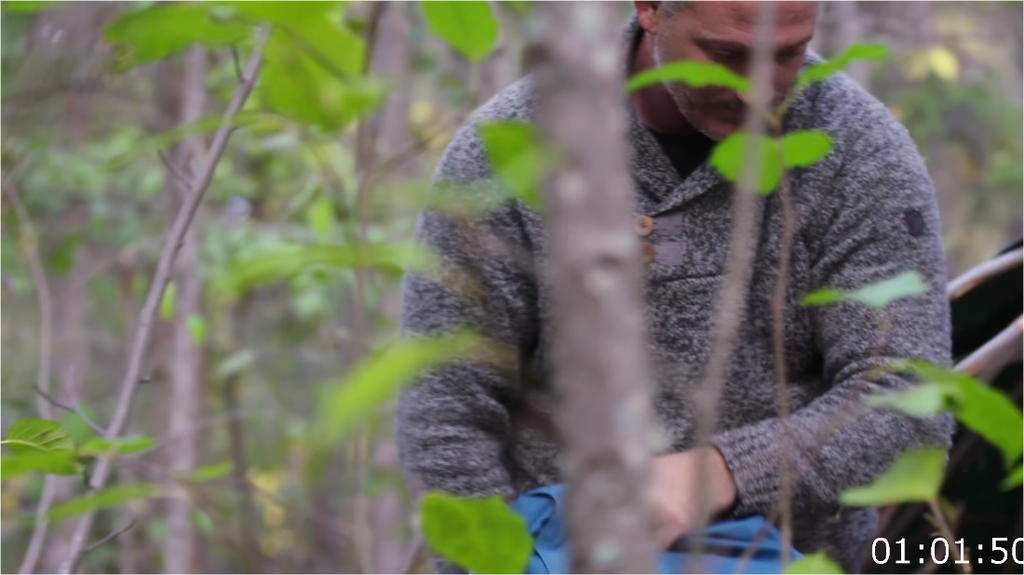 [Image: oypktq4l2a51.png]