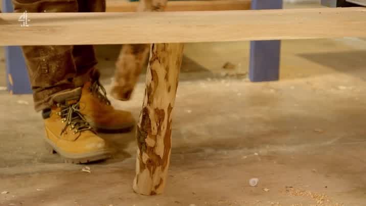 [Image: iypgz2h24wh3.jpg]