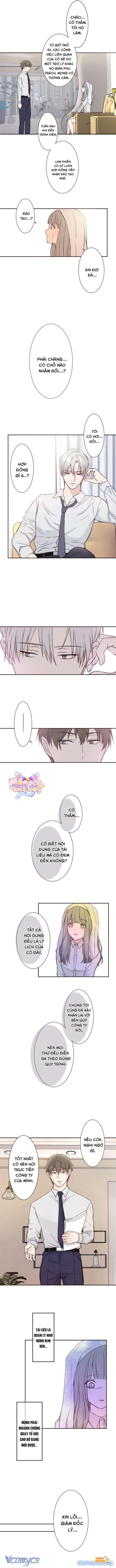 Xem ảnh Cám Dỗ Nguy Hiểm - Chapter 6 - tmpa508vadh - Truyenhentaiz.net