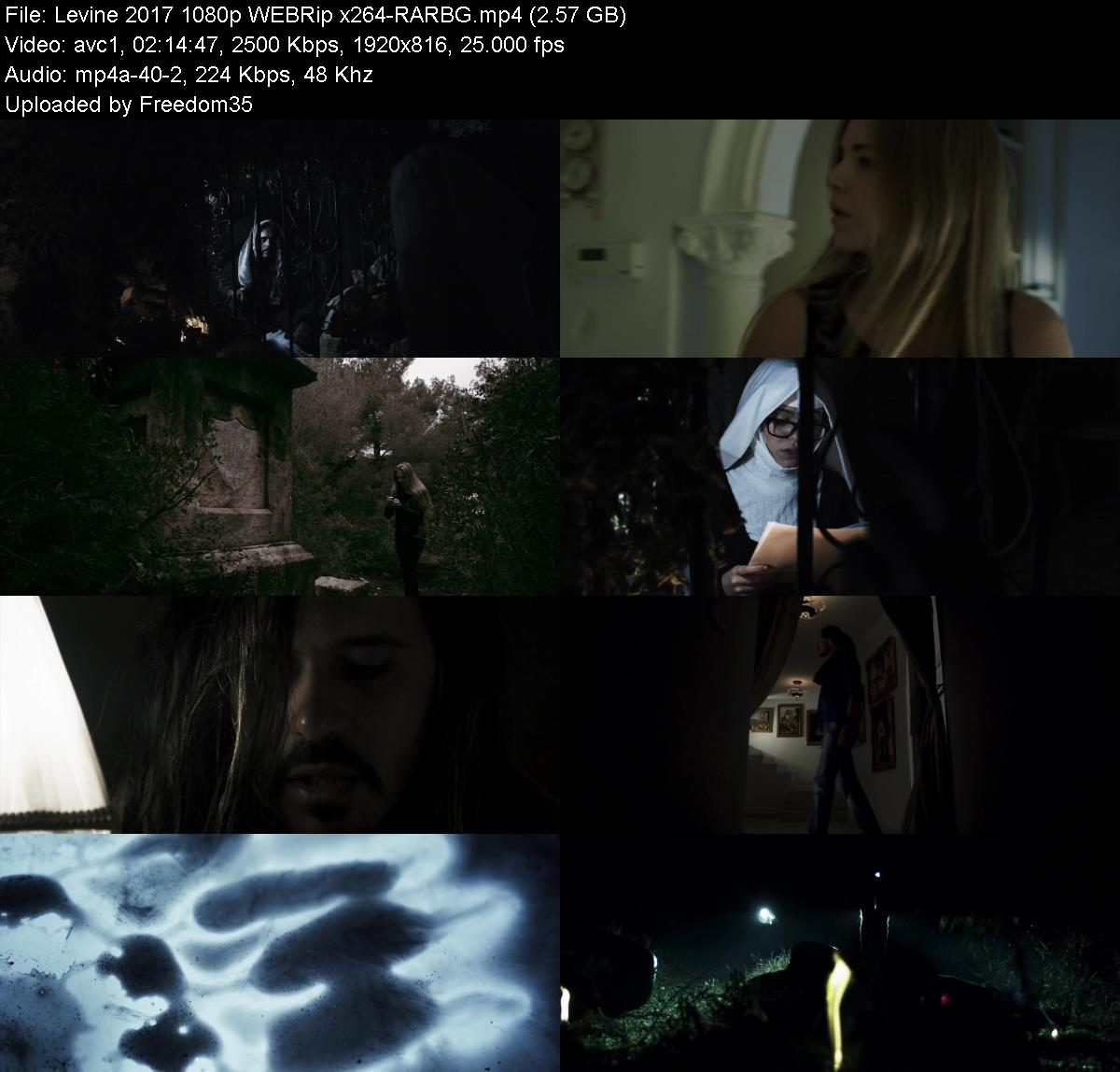 Levine-2017-1080p-WEBRip-x264-RARBG.jpg