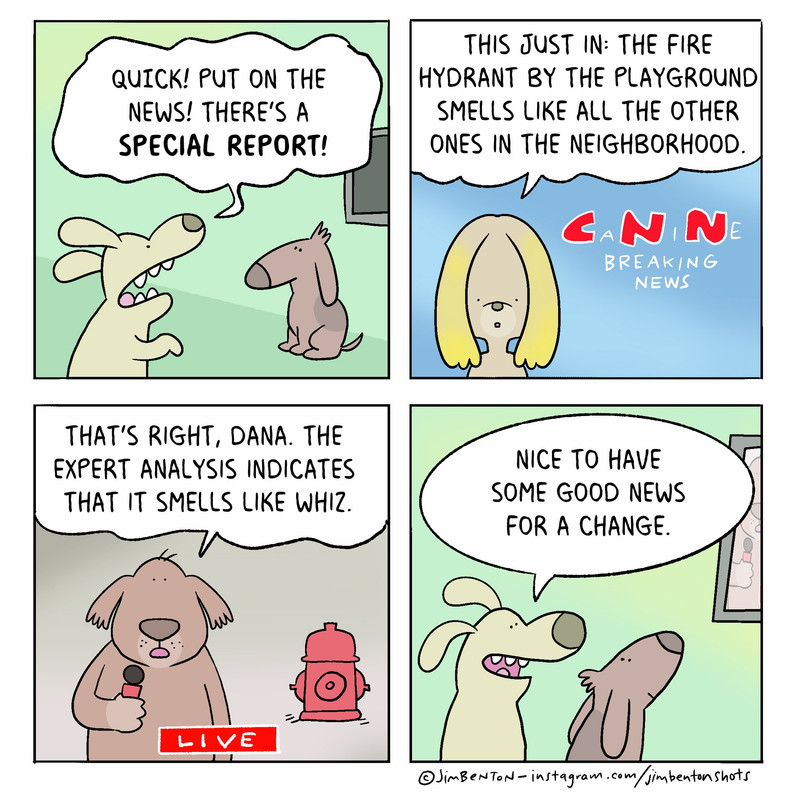 Ca Ni Ne news