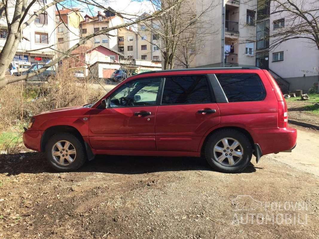 форестер јј_