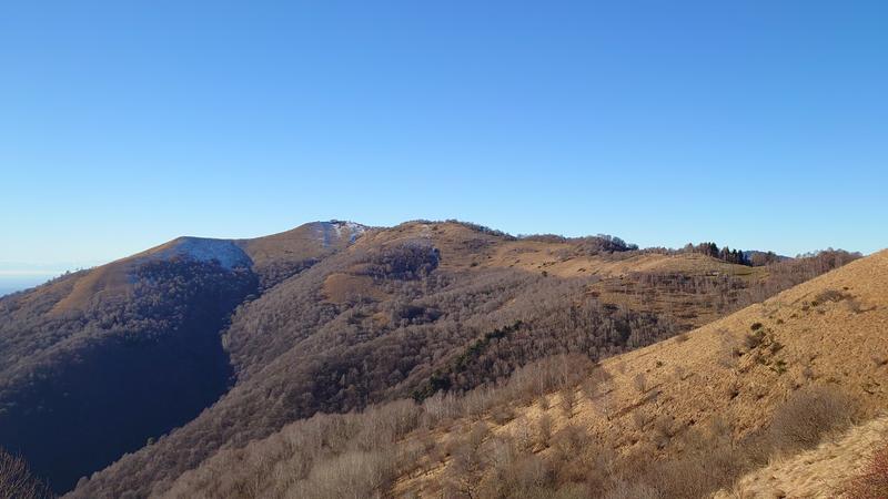 DSC-1656.jpg