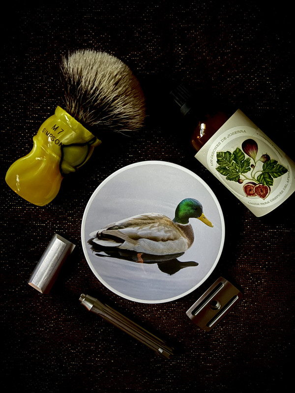 32409A58-74D0-4F4D-B164-322DEE90F55C