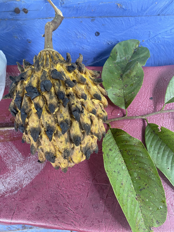 89078332-D2C4-4250-8843-2ACBFED2B3EF