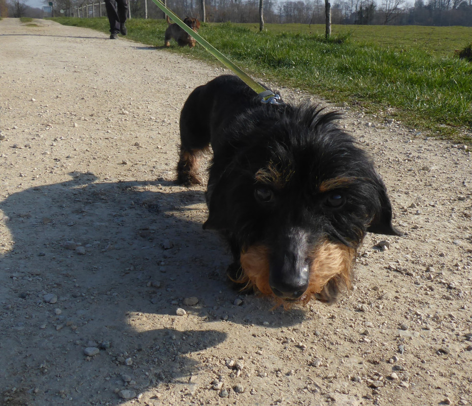 [Image: P1020209.jpg]