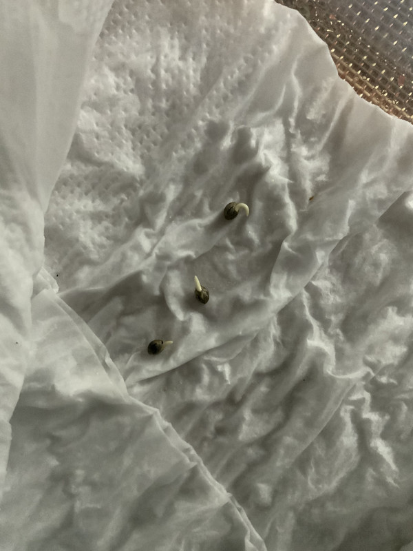 17DF7607-F4B8-4918-9AB4-AA526EF9EB4E