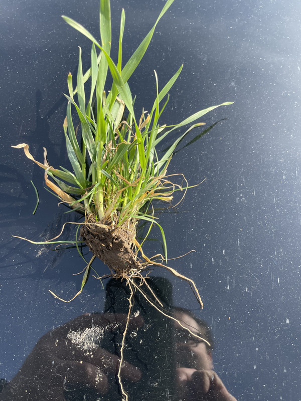 512CFD76-311C-4F0D-A8B3-BE1B1487681C