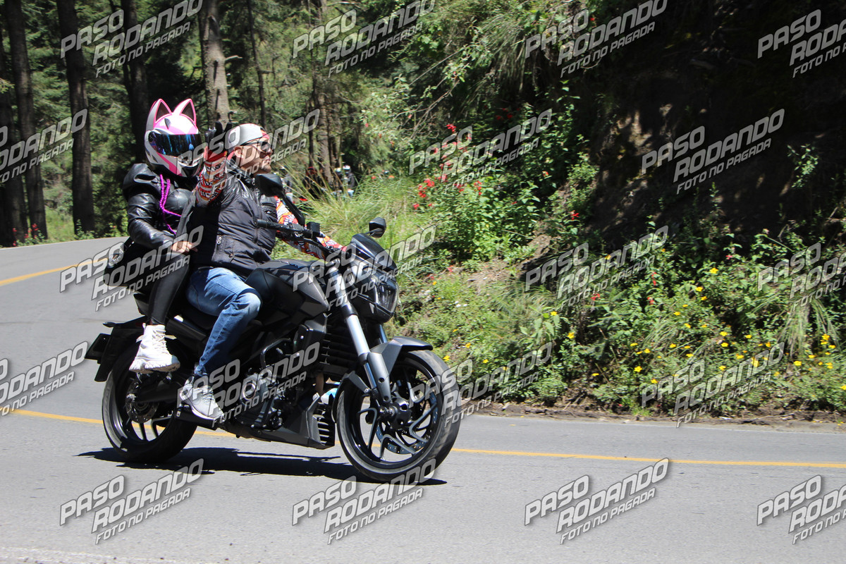 IMG 6735 wm 21338358 9 watermarked — Postimages