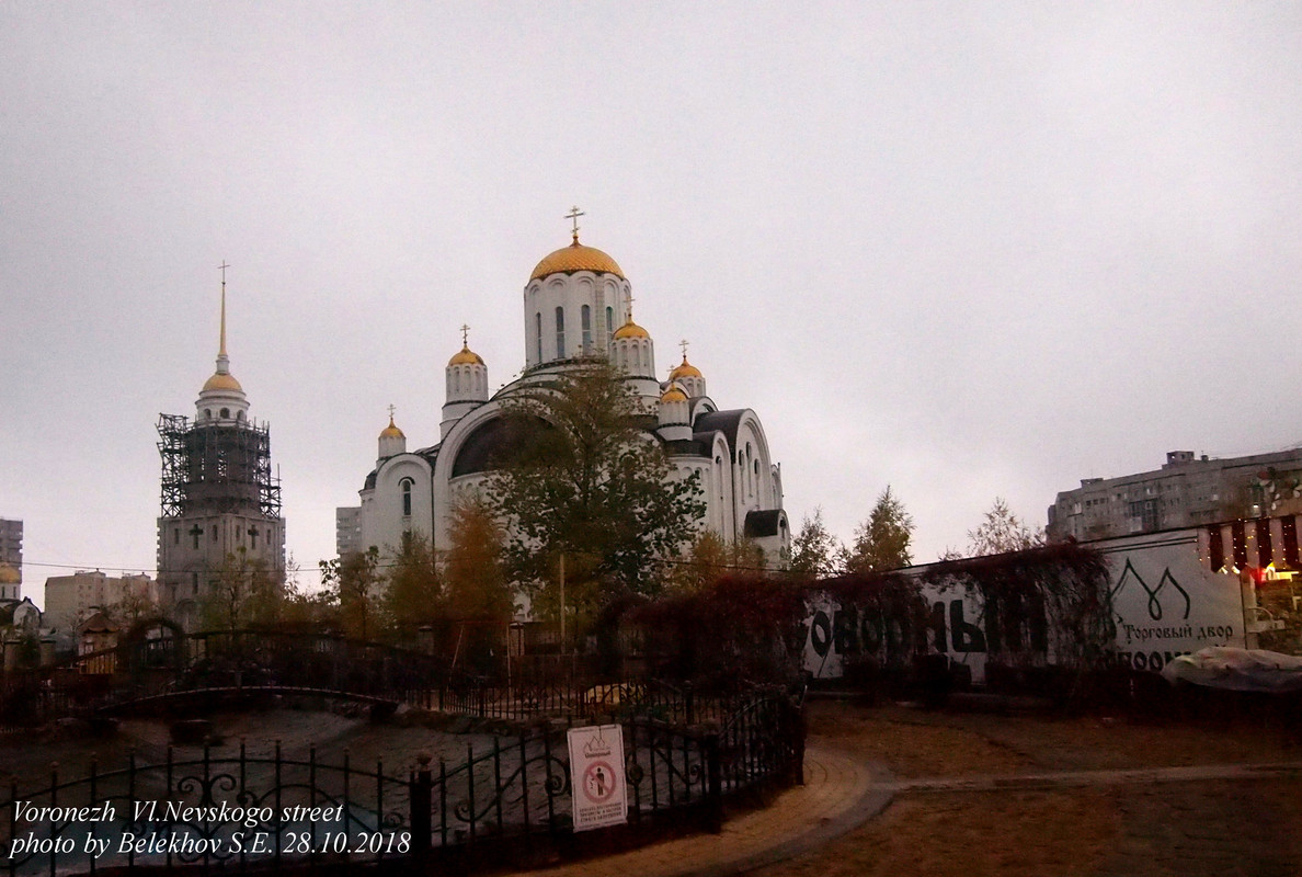 Воронеж, осень Воронеж, осень