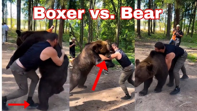 Арсланбек Махмудов се бори с мечки и обещава война на Тайсън Фюри