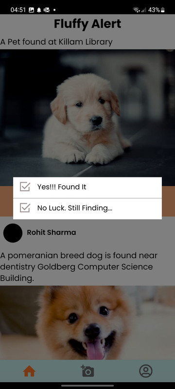 Pet Found or Not