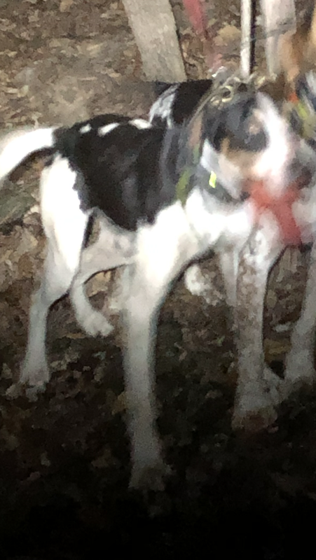 46FA973A-6CD8-4238-90EC-1A9593251B98