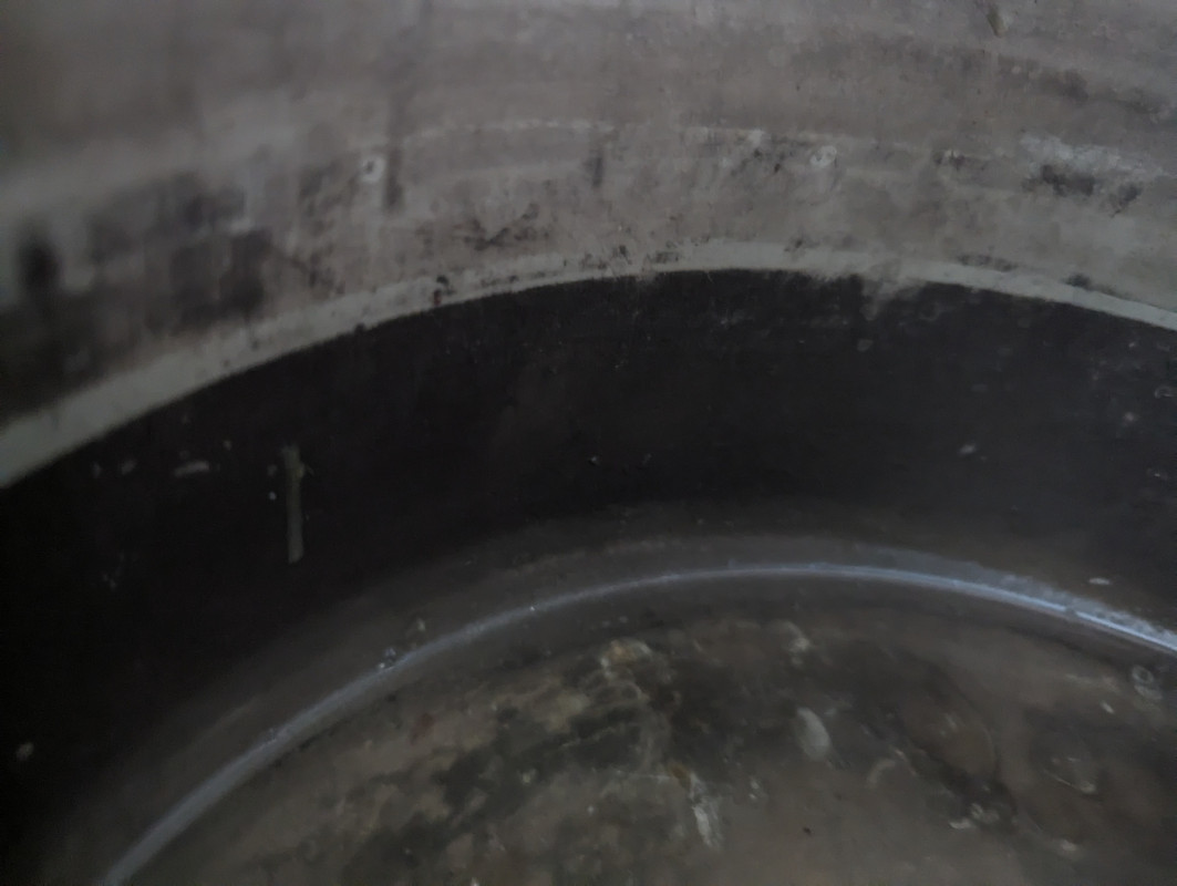 PXL_20231225_152456798