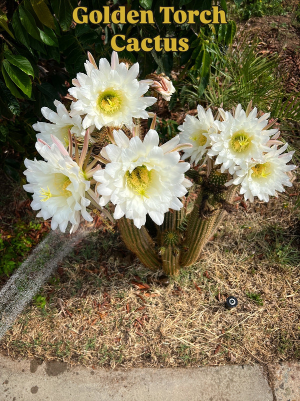 0B55E86C-FF59-4B74-A798-39E2B064CDE2