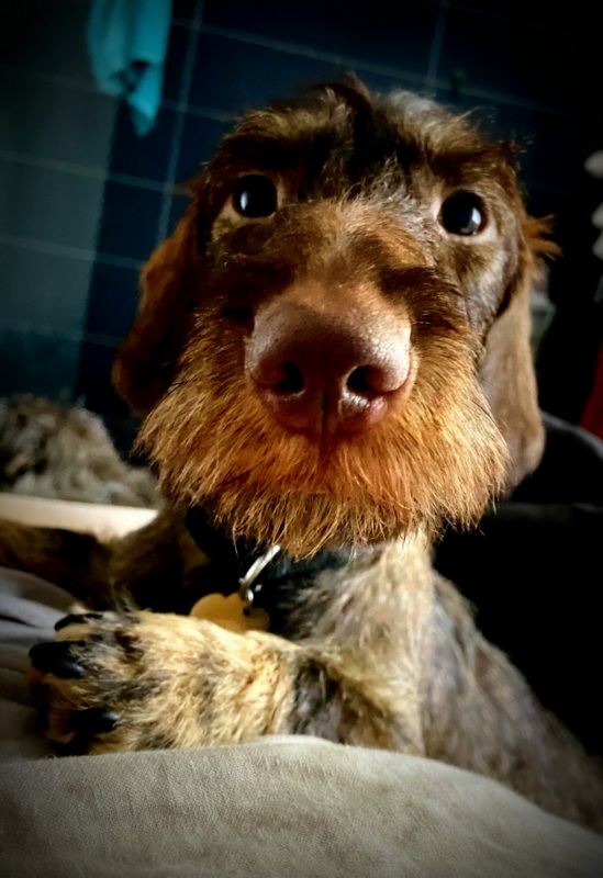 [Image: IMG-1895.jpg]