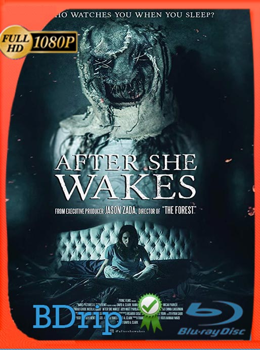Después De Que Ella Despierte (2019) BDRip HD 1080p Latino [GoogleDrive]