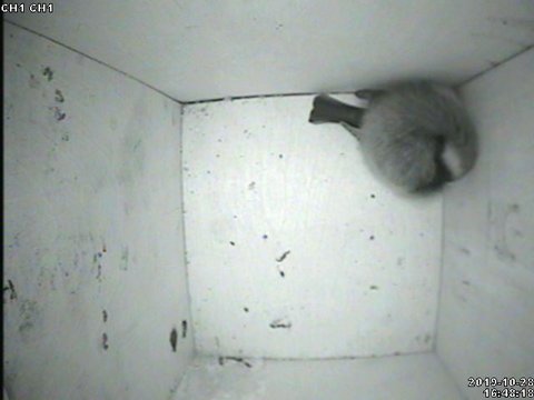 FCFF8F46-1928-4349-BFE2-6E0D1BBA632D