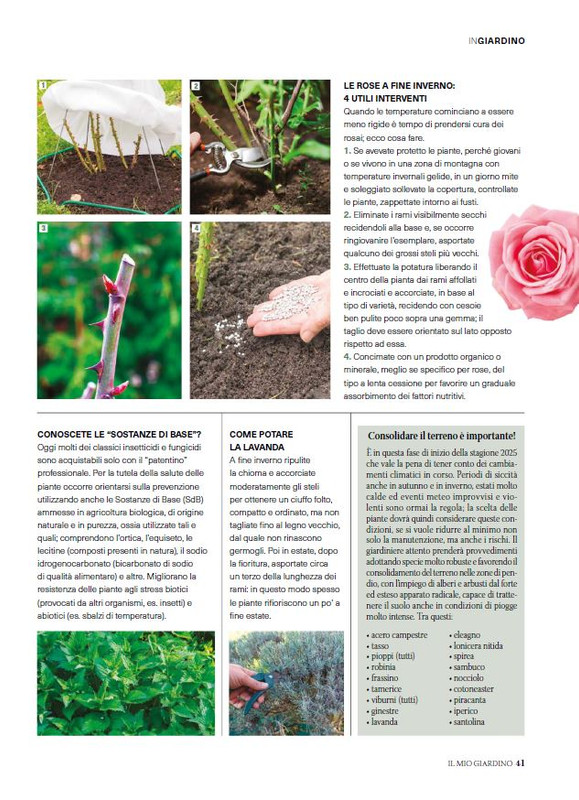 il mio Giar Feb-Mar 2025 (12)