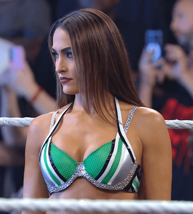 nikki-bella-v0-ozsdihitjcag1.png