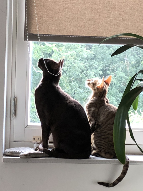 209968F9-0F10-41A6-8715-FBEBF792E486