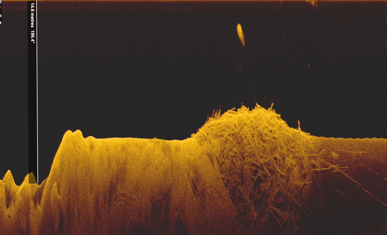 Безымянный