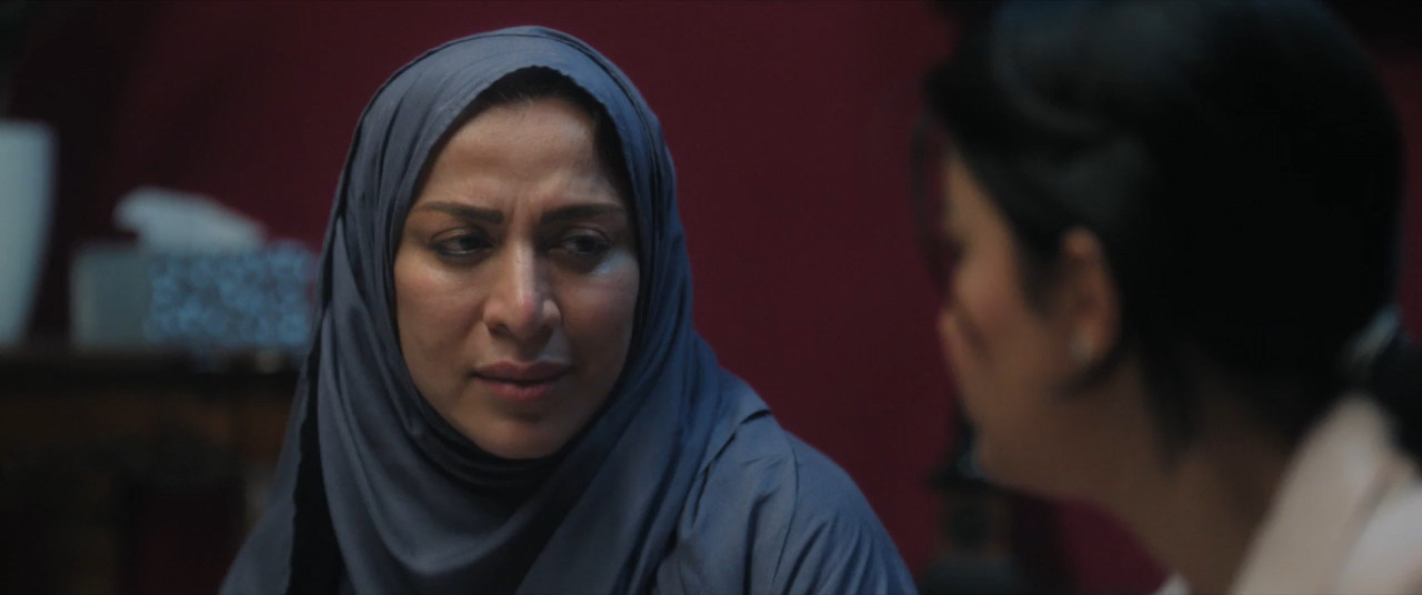 Unidentified 2026 WebRip [Hindi + Tamil + Telugu + Arabic] 480p 720p ESub Screenshot