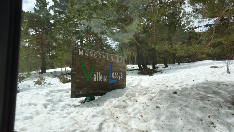 Paseando por España-1991/2016 - Blogs de España - PUERTO DE NAVACERRADA Y COTOS-2006/2009/2013/2016-MADRID (65)